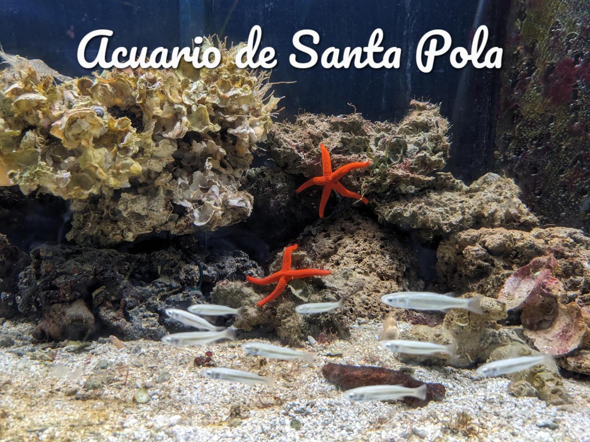 Best Holiday Santa Pola Buitenkant foto